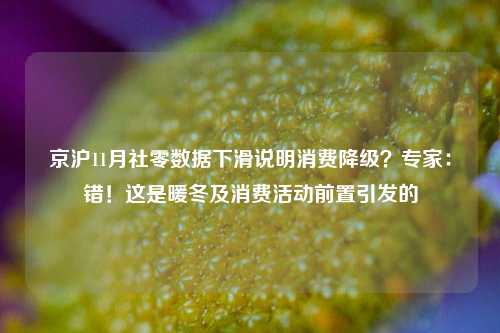 京沪11月社零数据下滑说明消费降级？专家：错！这是暖冬及消费活动前置引发的