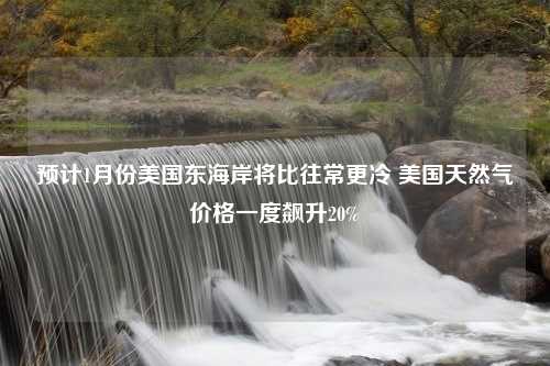 预计1月份美国东海岸将比往常更冷 美国天然气价格一度飙升20%