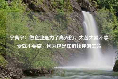 宁高宁：做企业是为了高兴的，太苦太累不享受就不要做，因为这是在消耗你的生命