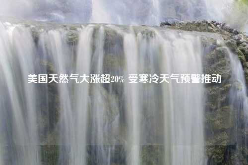 美国天然气大涨超20% 受寒冷天气预警推动