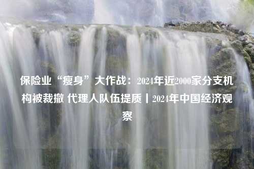 保险业“瘦身”大作战：2024年近2000家分支机构被裁撤 代理人队伍提质丨2024年中国经济观察