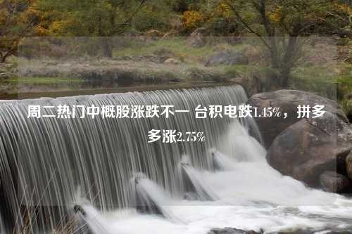 周二热门中概股涨跌不一 台积电跌1.45%，拼多多涨2.75%