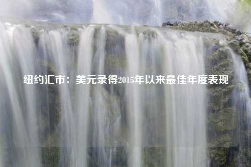 纽约汇市：美元录得2015年以来最佳年度表现