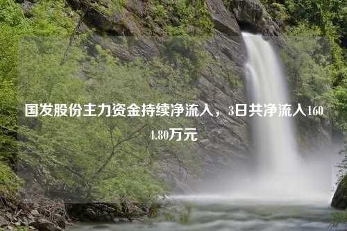 国发股份主力资金持续净流入，3日共净流入1604.80万元