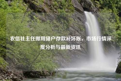 农信社主任挪用储户存款补坏账，市场行情深度分析与最新资讯