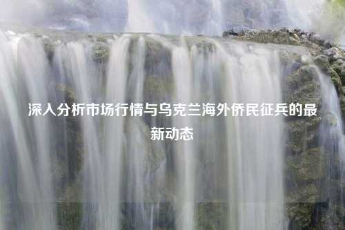 深入分析市场行情与乌克兰海外侨民征兵的最新动态