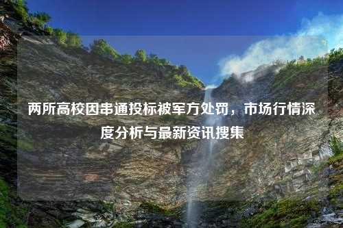 两所高校因串通投标被军方处罚，市场行情深度分析与最新资讯搜集