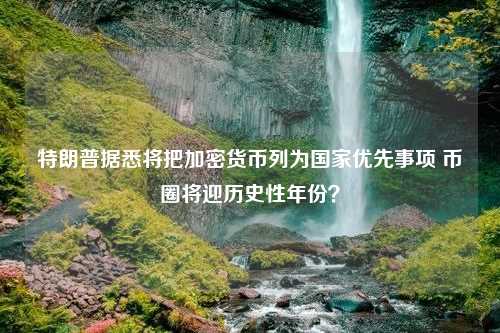 特朗普据悉将把加密货币列为国家优先事项 币圈将迎历史性年份？