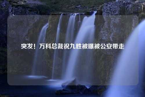 突发！万科总裁祝九胜被曝被公安带走