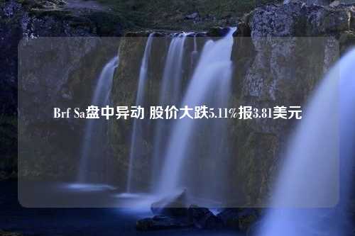 Brf Sa盘中异动 股价大跌5.11%报3.81美元