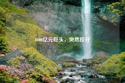 8000亿元巨头，突然拉升