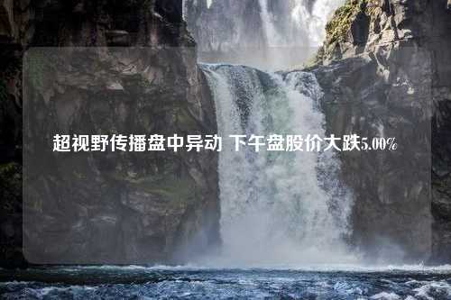 超视野传播盘中异动 下午盘股价大跌5.00%