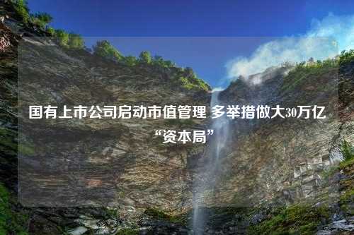 国有上市公司启动市值管理 多举措做大30万亿“资本局”