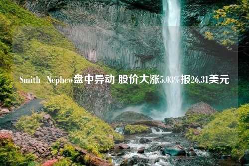 Smith  Nephew盘中异动 股价大涨5.03%报26.31美元