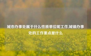 城市办事处属于什么性质单位呢工作,城镇办事处的工作重点是什么