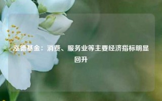 泓德基金：消费、服务业等主要经济指标明显回升