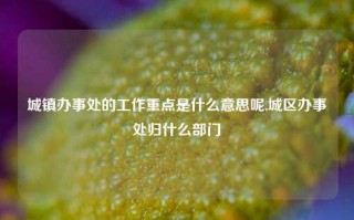 城镇办事处的工作重点是什么意思呢,城区办事处归什么部门