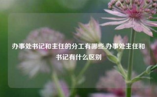 办事处书记和主任的分工有哪些,办事处主任和书记有什么区别