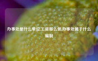 办事处是什么单位,工资那么低,办事处属于什么编制