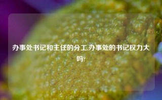 办事处书记和主任的分工,办事处的书记权力大吗?