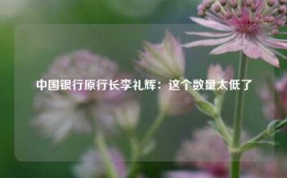 中国银行原行长李礼辉：这个数量太低了