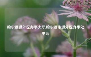 哈尔滨道外区办事大厅,哈尔滨市道外区办事处电话