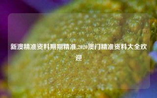 新澳精准资料期期精准,2020澳门精准资料大全欢迎