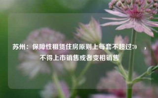 苏州：保障性租赁住房原则上每套不超过70㎡，不得上市销售或者变相销售