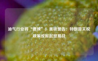 油气行业将“遭殃”！美银警告：特朗普关税政策或掀起贸易战