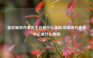 省会城市办事处主任是什么级别,地级市办事处书记是什么级别