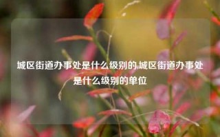 城区街道办事处是什么级别的,城区街道办事处是什么级别的单位