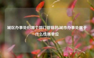 城区办事处归哪个部门管辖的,城市办事处属于什么性质单位