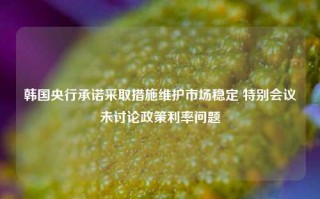 韩国央行承诺采取措施维护市场稳定 特别会议未讨论政策利率问题