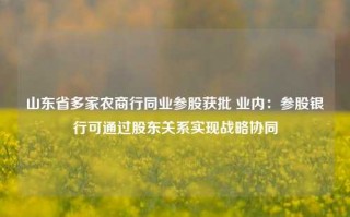 山东省多家农商行同业参股获批 业内：参股银行可通过股东关系实现战略协同