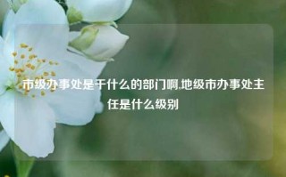 市级办事处是干什么的部门啊,地级市办事处主任是什么级别