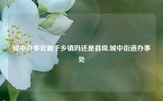 城中办事处属于乡镇吗还是县级,城中街道办事处