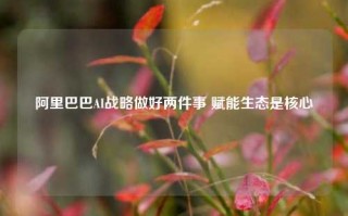 阿里巴巴AI战略做好两件事 赋能生态是核心