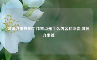 城镇办事处的工作重点是什么内容和职责,城区办事处