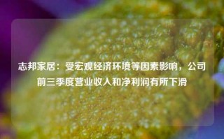 志邦家居：受宏观经济环境等因素影响，公司前三季度营业收入和净利润有所下滑