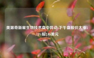 美第奇新星生物技术盘中异动 下午盘股价大涨5.13%报2.05美元