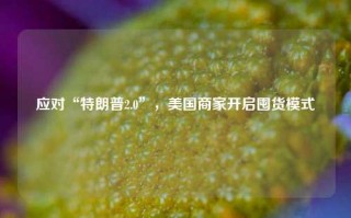 应对“特朗普2.0”，美国商家开启囤货模式