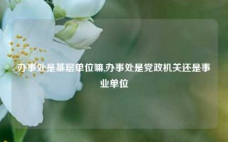 办事处是基层单位嘛,办事处是党政机关还是事业单位