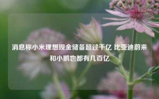 消息称小米理想现金储备超过千亿 比亚迪蔚来和小鹏也都有几百亿