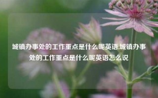 城镇办事处的工作重点是什么呢英语,城镇办事处的工作重点是什么呢英语怎么说