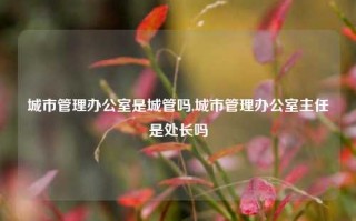 城市管理办公室是城管吗,城市管理办公室主任是处长吗