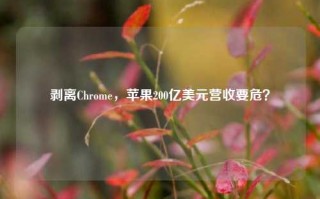 剥离Chrome，苹果200亿美元营收要危？