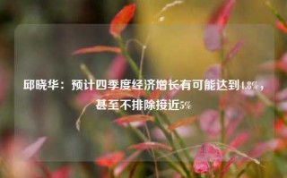 邱晓华：预计四季度经济增长有可能达到4.8%，甚至不排除接近5%