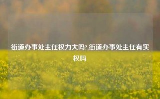 街道办事处主任权力大吗?,街道办事处主任有实权吗