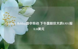 Comstock Holding盘中异动 下午盘股价大跌8.95%报8.44美元