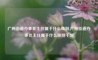 广州街道办事处主任属于什么级别,广州街道办事处主任属于什么级别干部